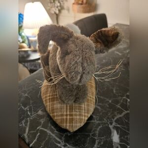 Primitive  Bunny Sitting On His Egg